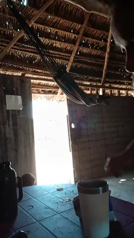 #vedeoviral 