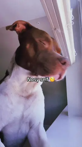 #fyp 