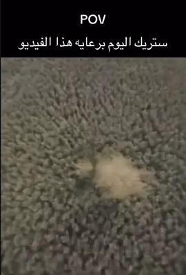 #اكسبلور #fyp #CapCut 
