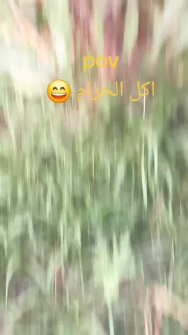 #الي إلحرام يخاف #الشعب_الصيني_ماله_حل😂😂 #اكسبلور #اغنية_تيك_توك #اسماعلية دولة 