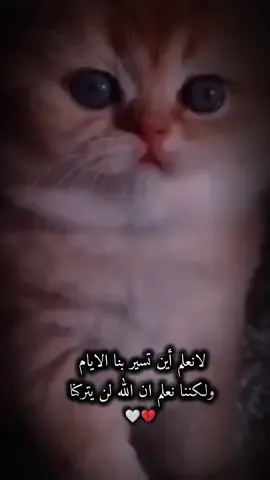 #لانعلم أين تسير بنا الايام ولكننا نعلم ان الله لن يتركنا🤍💔