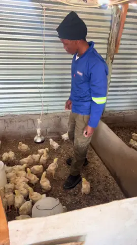 Don't kill me farmers about feeders and i was cleaning red feeders 🙏🏽 🙏🏽 