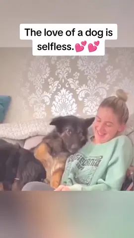The love of a dog is selfless.💕💕💕#dog #dogsoftiktok #pet #tiktok #fly 