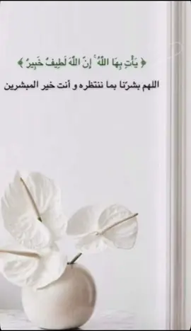 “اللهم إنك على كل شيء قدير، حقق لي ما أتمنى، واغمرني بفرجٍ من عندك يعجز عنه ظني.” #يارب لا يعجزك شيء، فحقق لي معجزة تفرح قلبي وتُدهشني بكرمك.” #سبحانه_رحمته_تسع_كل_شي #سبحان_الله_وبحمده 