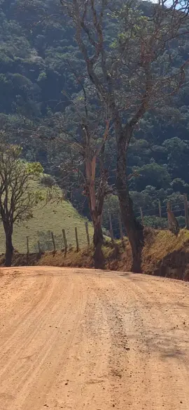 #minasgerais #paraiso #paisagem #viralvidiotiktok #viralvidio #estrada #boatarde 