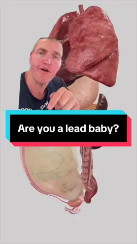 The legacy of lead is long and terrible. And it’s still affecting people to this day. #EduTok #LearnOnTikTok #anatomy #science #medical 