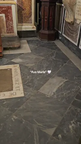 Mary, mother of humanity 🧎🏻‍♀️✝️🧎‍♂️ #christianity #church #avemaria #mary #rosary #jesuslovesyou #god #hope #faith #eucharist #mass #☦️ #✝️ #catholic 