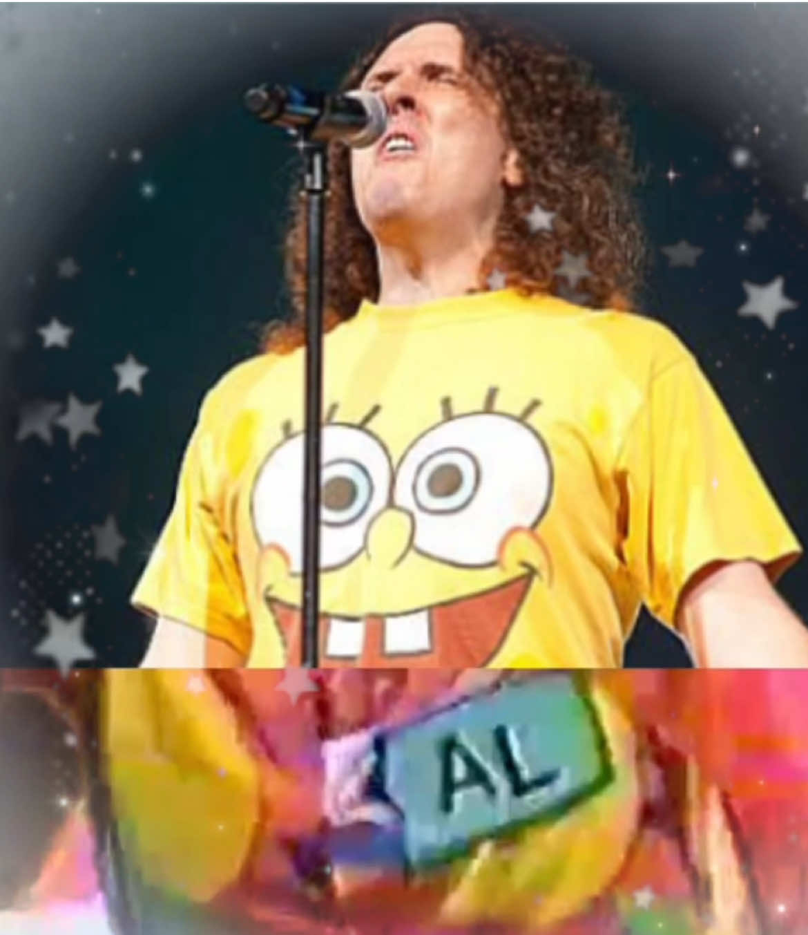 #weirdalyankovic #weirdal #Al #edit #capcut #moodboard #dontcha #polka #polkarama #weird #concert #minion #spondebob #fyp 