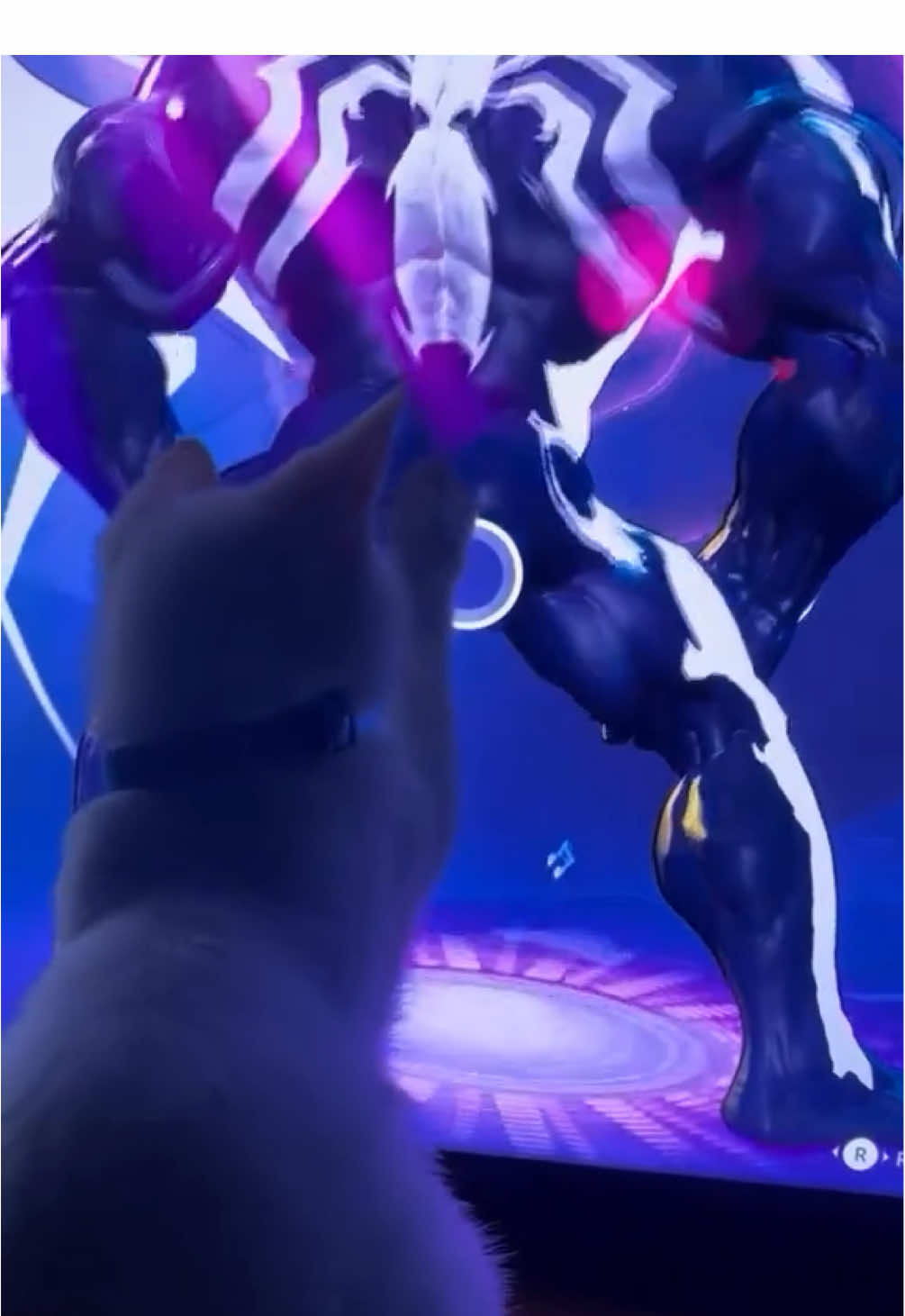 Freaky ahh cat😭 (song: ilyTOMMY - pretty ho3) #ilytommy #fypシ゚viral #explorepage #catsoftiktok #hoodtrap #underground #PetsOfTikTok #funnycats #fyppppppppppppppppppppppp #memecut #twerk #cat #catlover #wthelly #tiktokviral #tiktok 