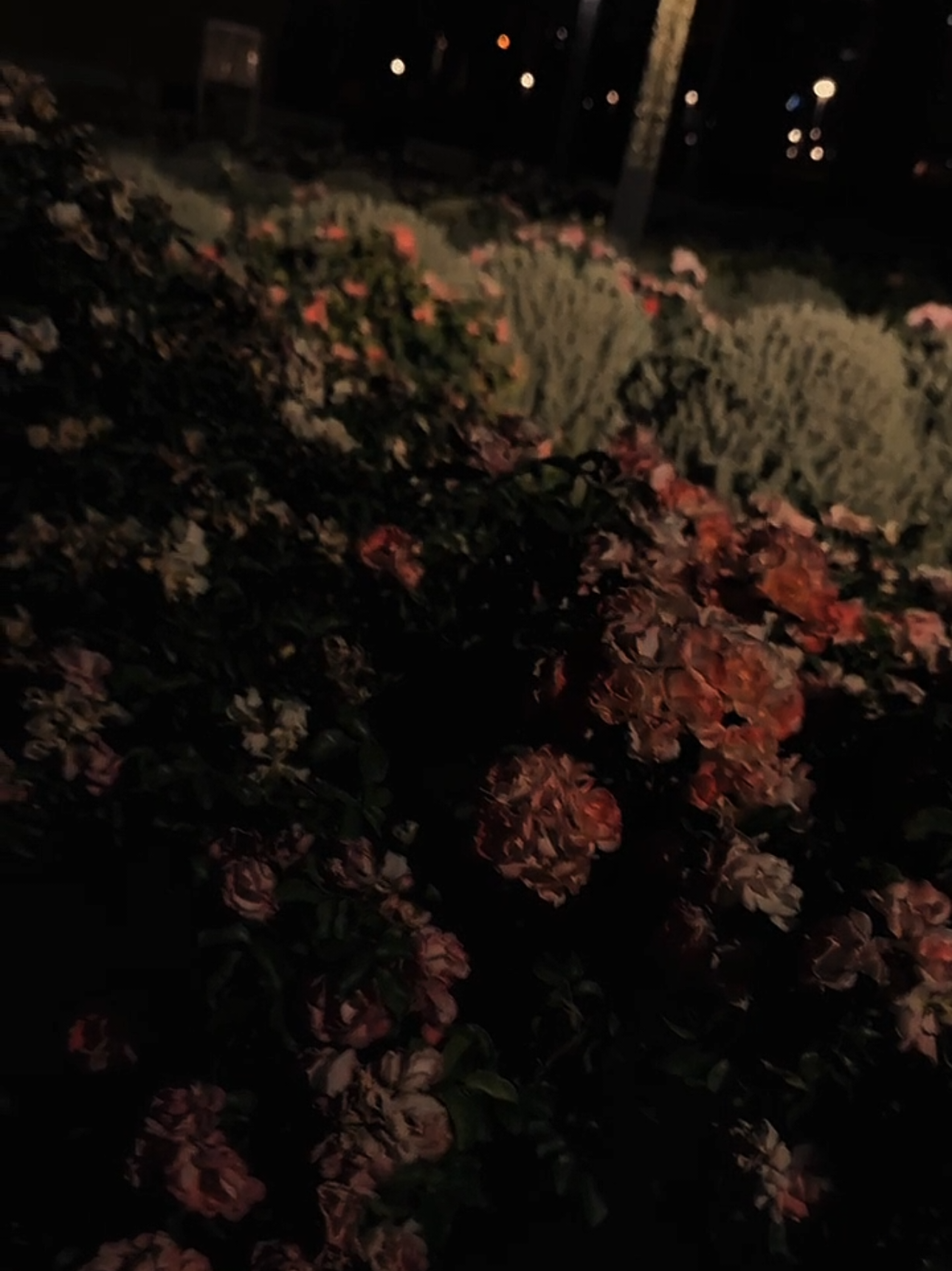 #keşfet #şeir #poeziya #zelimxanyaqub #statusvideo 
