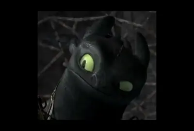 he’s such a cutie #fyp #foryou #xyzbca #httyd #howtotrainyourdragon #toothless #nightfury 