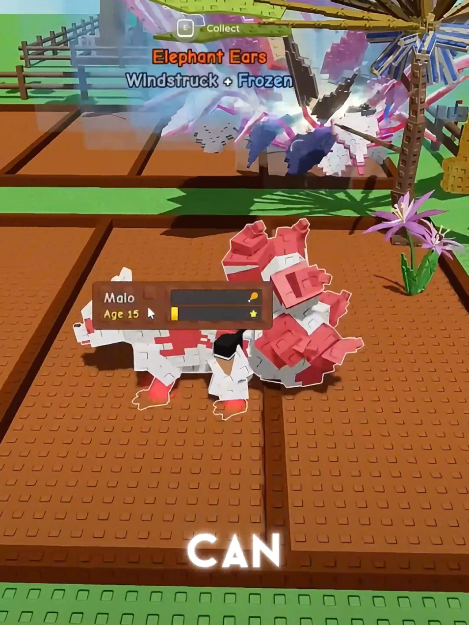 How to get Kitsune pet in Grow A Garden last zen Update #zenupdate #kitsune #growagarden #robloxfyp #robloxgames 