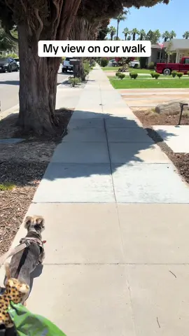 Why do you suppose he insists on letting me walk ahead of him? #coupletok #marriedlife #husbandsoftikok #relationshipgoals 