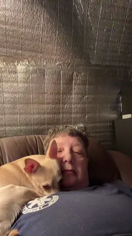 #pnutthepostinpup 