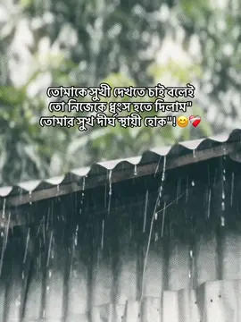 তোমাকে সুখী দেখতে চাই বলেই তো নিজেকে ধ্বংস হতে দিলাম