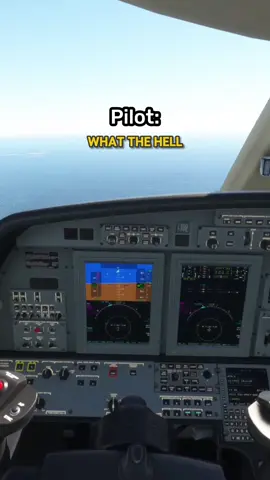 Boeing 737 And Embraer COLLIDE MID-AIR 😱 #aviation #avgeek #aviationlovers #atc #plane #pilot #lhrohin 