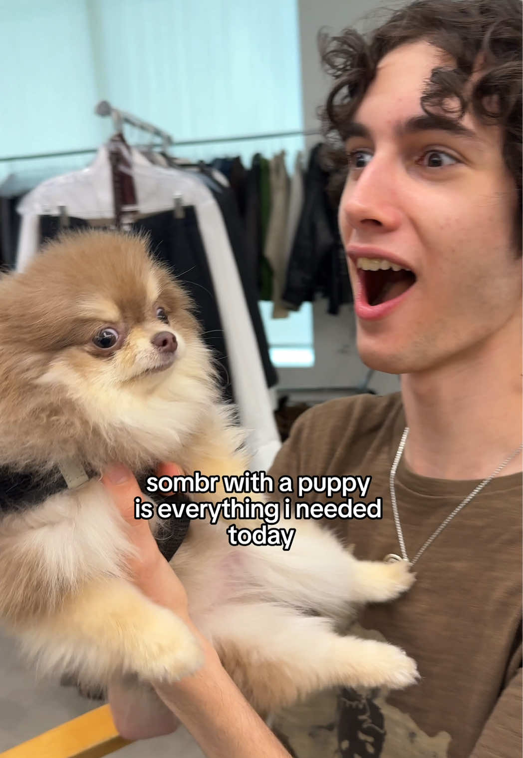 this has to be ai @sombr #sombr #dailysombr #sombrtok #celebrity #OnTour #songofthesummer #newmusic #singer #puppy #puppytiktok #fy #viral