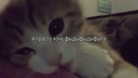 #music #песня #fyp #липсинг #песнядлялипсингов 