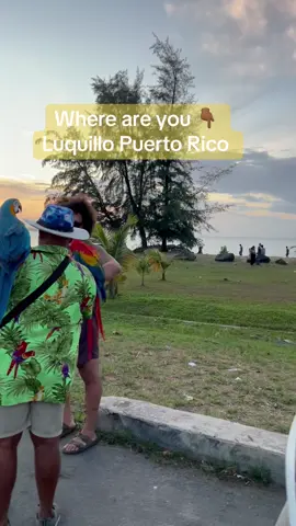 Luquillo Puerto Rico. Hillmantok university Join my stock market LIVE and Black Friday Class.  Is a limit order better than a market order? How to make guaranteed profits in the stock market?What stock should I buy to make money in the stock market? When should you invest in the stock market and why? How do you know if a stock is going to go up or down? What is the best time to Buy sell invest in the stock market to make money? How to invest in the stock market? How to make money in the stock market for beginners? What should I invest in in the stock market? What’s the best investment in the stock market? How trade in stock market? What’s the best app for the stock market? Stock options explained, current stock market news today, Robin Hood investment, stock options to buy today, options, how to use Robinhood, money, stock market gambling #Stocks #Stockmarket #money #Investing #stockoptions #hillmantok #hillmantokuniversity