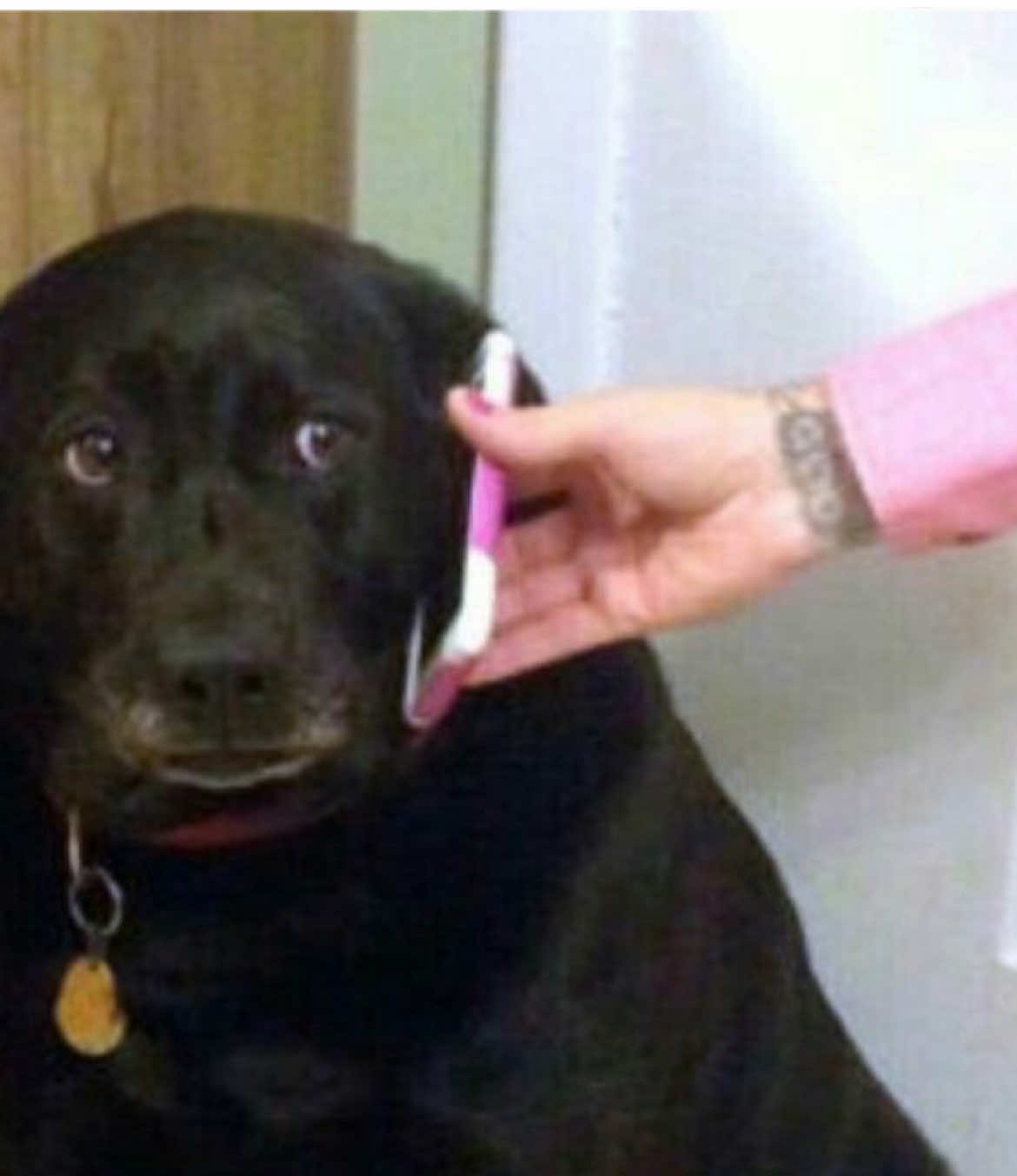 mind you this was a friend group full of six girls for them to keep a secret Sslick had to get pachted #s#storytimer#relationshipsf#foryoupager#relatablev#viraltiktok