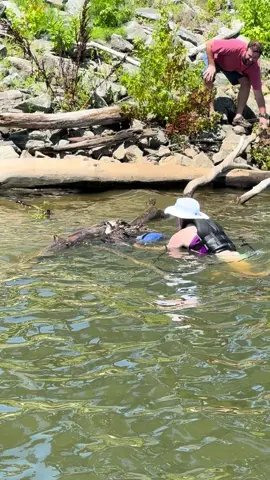 Part 2 🦅 Poor baby was so tired, when we finally got him up onto the log he laid down and took some deep breaths 🥺 #fyp #bird #osprey #lakelife 
