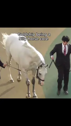 Goldship can do whatever he wants! #ウマ娘プリティーダービー #uma #goldship #ゴールドシップ #競馬 #ゴールドシップ #horseracing #horsesoftiktok #silly #goldship #horsesontiktok 