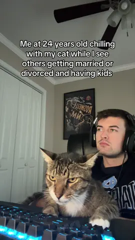 #cat #catsoftiktok 