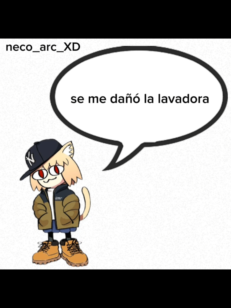 SE ME DAÑO LA LAVADORA 🗣️🔥🔥 #semedañolalavadora #necoarc #nekoarc #xdd #lacreatura #necoarcmeme #meme ##fyp 