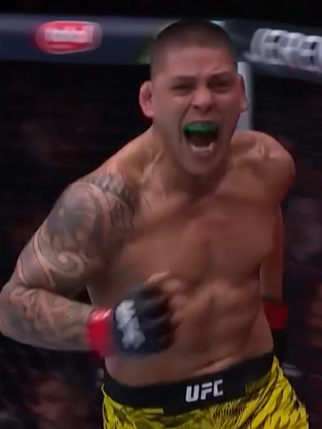 Bruno Ferreira wasted no time 👊 #UFC #mma #brunoferreira