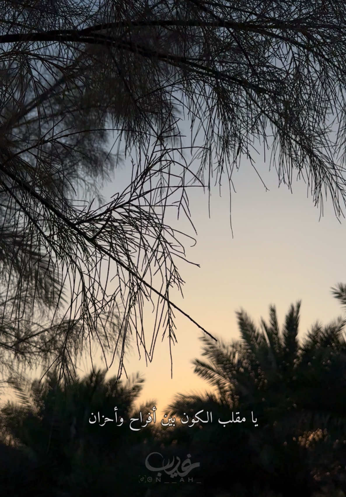قناتي تليقرام بالبايو✨🩶 #تصميمي #تصويري📸 