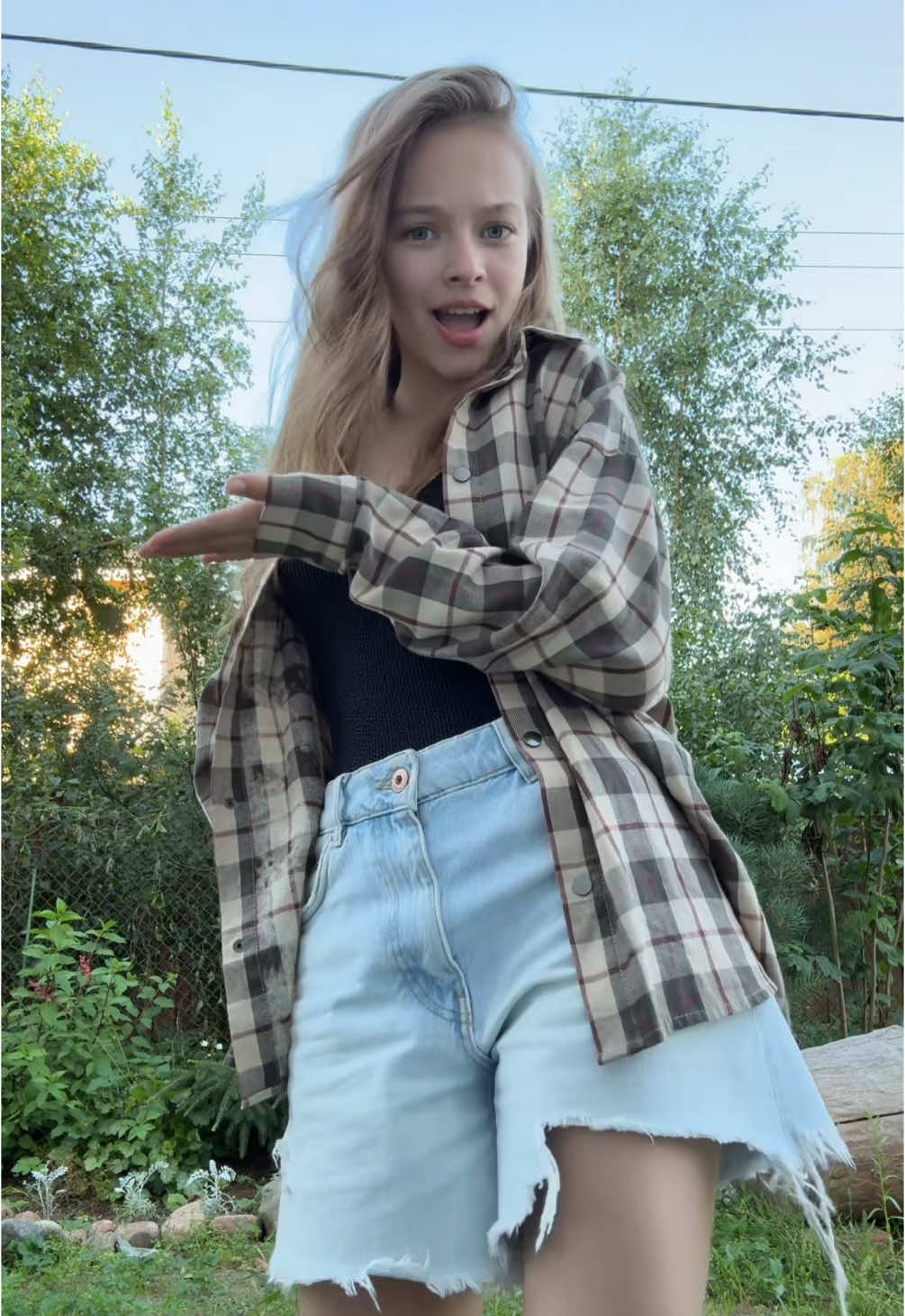 🌳🌳🌳