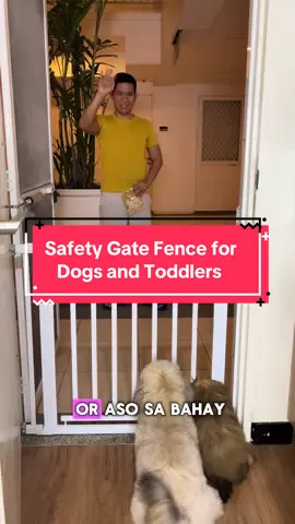 Di na makakatakas mga alaga nyong aso or toddlers nyo dahil sa safety gate fence na ito☺️ #gate #fence #shihtzu #furmom #furdad #toddler #toddlermom #dog #dogsoftiktok 