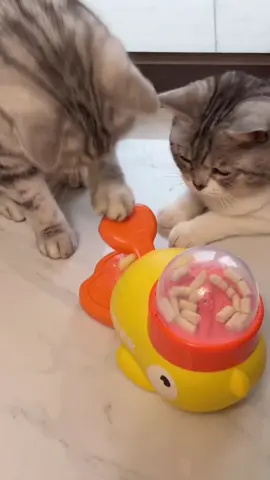 🦆🐱**Snack time just got *quack-tastic*! Turn mealtime into playtime with the **DUCK Little Yellow Duck Feeder Toy**— your cat's new favorite puzzle pal! & Spin the duck, release the treats, and watch your clever kitty hunt* for their kibble like the tiny predator they are.🍪🐱🐶 ✌️Swipe to see how it *slows down eating* and burns energy (bye-bye, midnight zoomies!). ✌️Interactive design + durable materials = ndless fun for curious cats *and* entertained humans.👐👐💗 😙Comment 