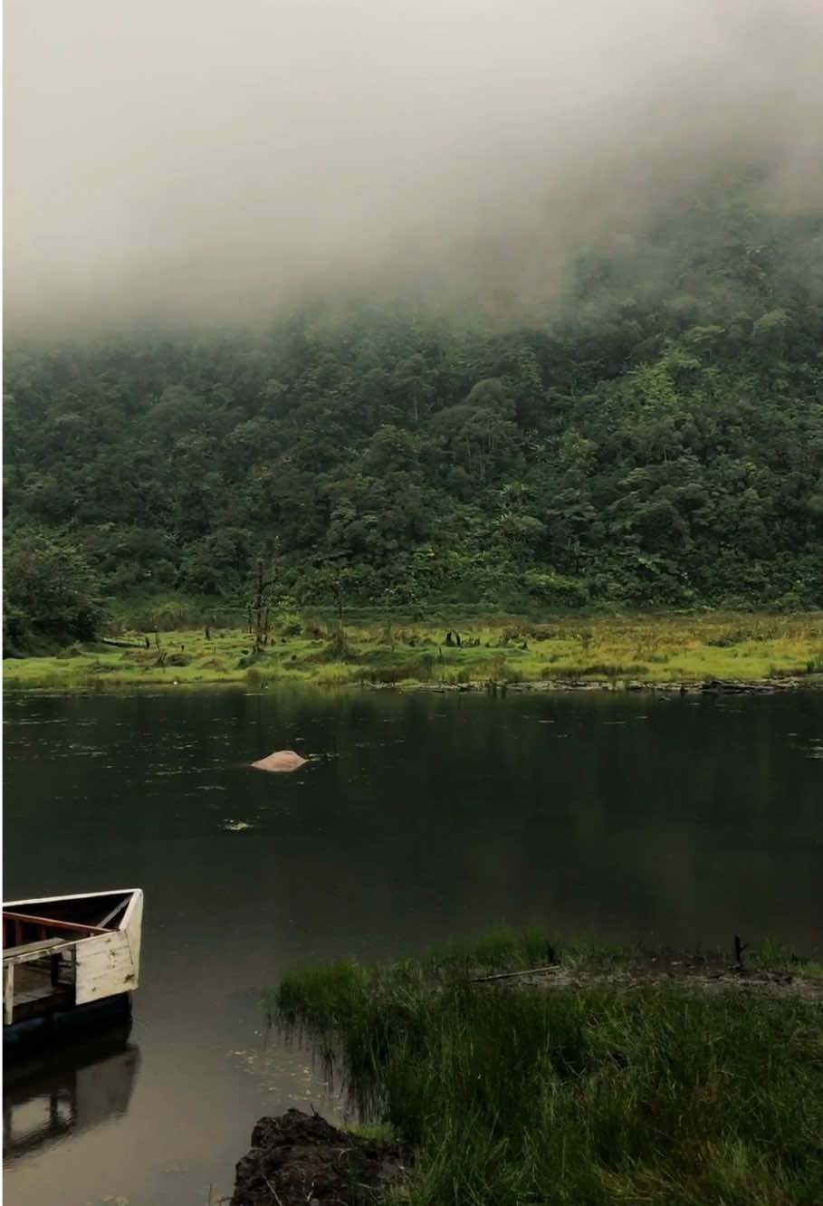 hujan dan kabut telaga mangunan petungkriyono . #nature #kabut #pekalongan #petungkriyono #fyp #jateng #folk 