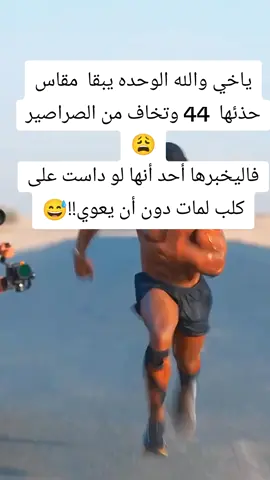 #مصمم_فيديوهات🎬🎵 #فؤاد_البنا #100k #you #الشعب_الصيني_ماله_حل😂😂 