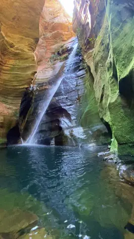 Cachoeira das Andorinhas em Pirenópolis é assim: um refúgio de paz, beleza e energia boa que só a natureza pode oferecer. 🍃☀️ Aqui, o tempo desacelera e a gente só sente.” ✨  #creatorsearchinsights #creator #cachoeira #natureza 