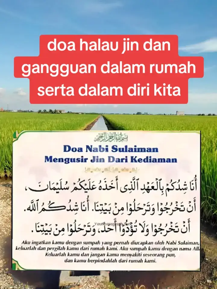 Walaupun hubungan Nabi Sulaiman dengan Jin lebih tepat digambarkan sebagai kekuasaan dan perintah yang diberikan oleh Allah, istilah 