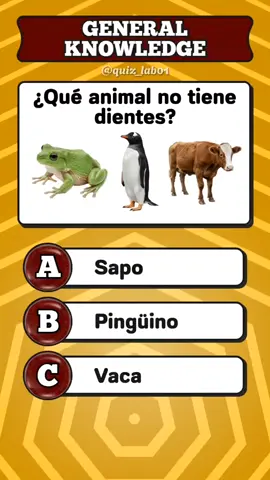 General Knowledge #quiz #preguntasyrespuestas #generalknowledge #knowledge #quiztime #LearnOnTikTok #SabiasQue #aprender #conocimiento #trivia #eua 