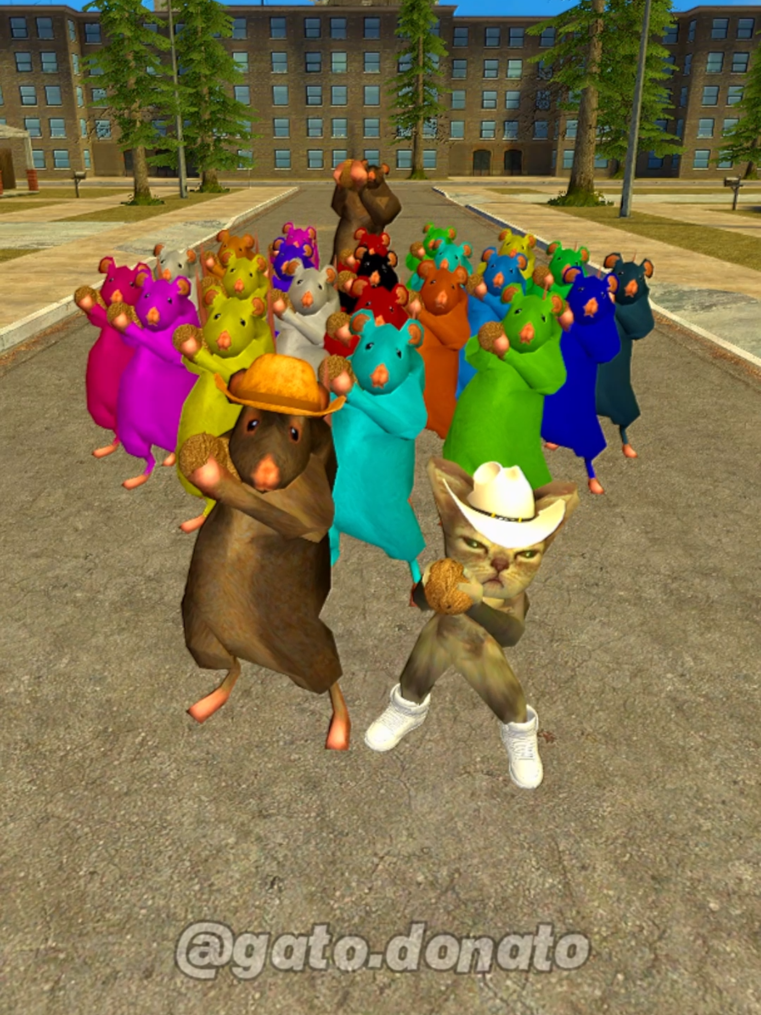 El Coco No #gatodonato #gato #rato #cat #rat #musica #dança #gmod