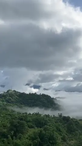 ที่ชอบภูเขา เพราะเขาไม่เคยเท 🏔️⛰️🌲🍀☘️🌴🌿🎄🌳🌺🌹🎉🌧️🛵🇹🇭#เทรนด์วันนี้ #สตอรี่ความรู้สึก #วิวธรรมชาติสวยๆ #ทะเลหมอก #เที่ยวไปเรื่อย #เปิดการมองเห็น #ฟิดดดシ 