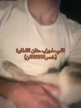 صدقوني خسران 😞😞  #fyp #viral #catlovers #Riyadh 
