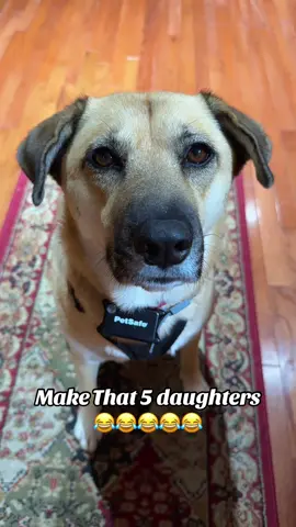 Daughters are very expensive!!!!##daughtersoftiktok##stayathomedaughters😝##trending