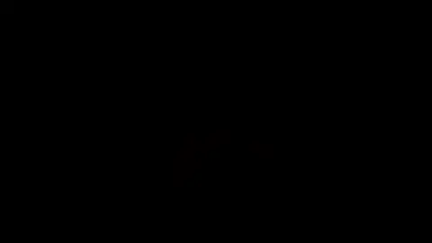 أنا الأسد يا وحوش 