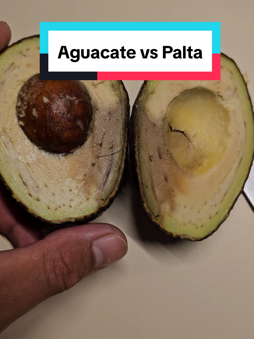 Palta peruana vs Aguacate mexicano. #aguacate #palta #peru #mexico #avocados🥑frommexico🇲🇽 