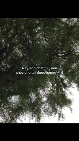 20/7