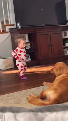 The love of puppies and babies ❤️#dog #baby #Love #bestfriend #dogsoftiktok #foryou #lovestory #cute 