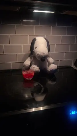 Snoopy has lived long enough to see himself become the villain. #snoopy #radiohead #letdown 