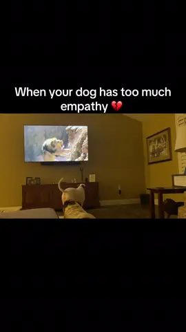 Watch til the end.#lionking#empaths #funnydogs #brokenheart #pitbull #dogwatchingtv#puppytiktok 