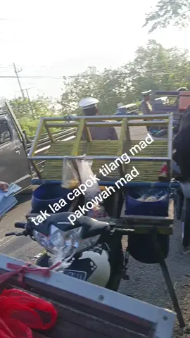 positif etilang mad 