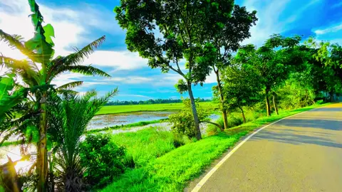 কত মানুষের কত রূপ দেখলাম, কিন্তু মনের শান্তি প্রাকৃতিক এইখানে পেলাম 🌸🌿😩@𓆩ᴀʀᴍᴀɴ𓆪 